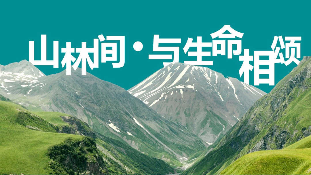 地产展厅中心开放活动策划意向方案