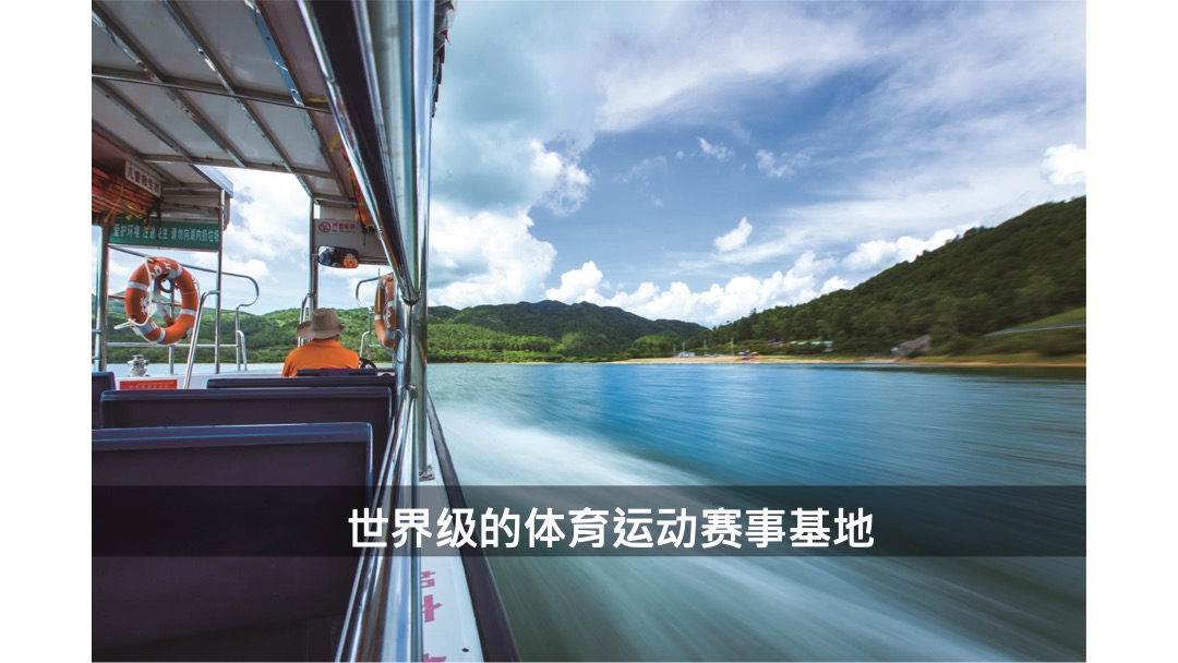 奥园泉林黄金小镇传播提案