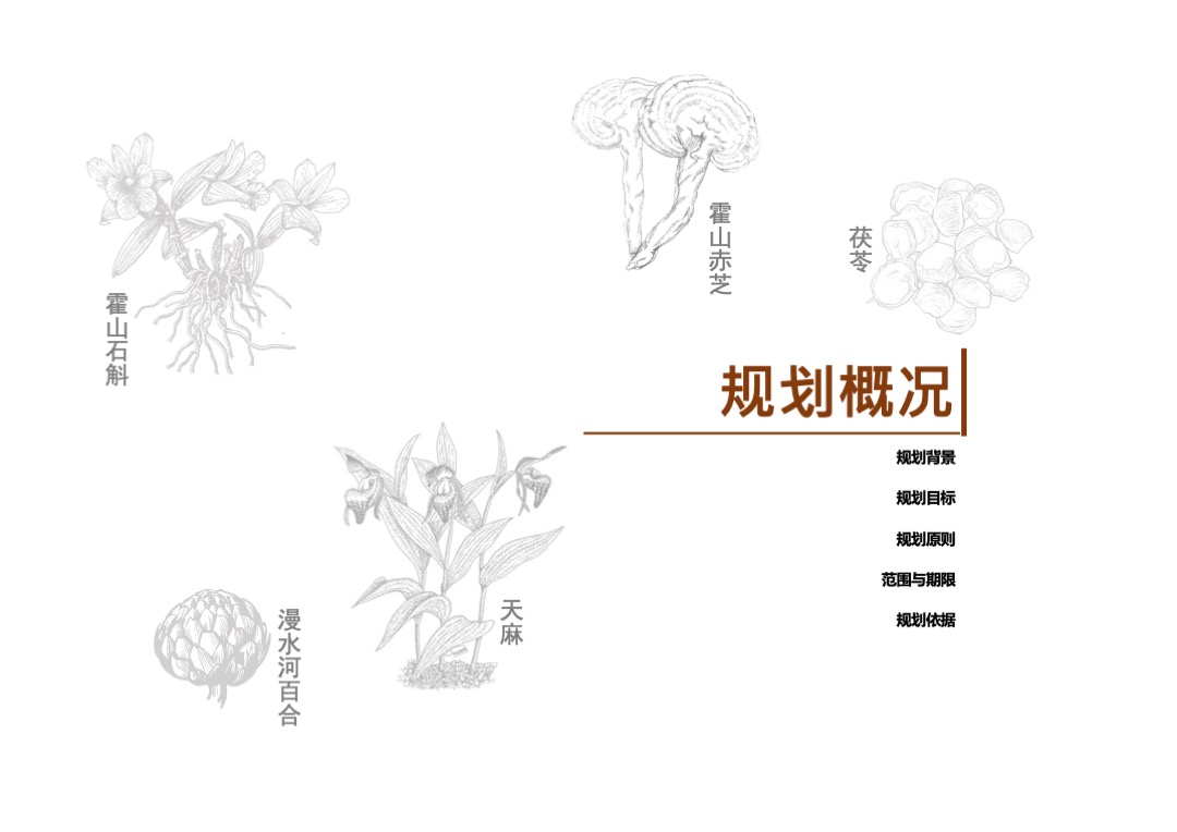 安徽霍山中医药健康旅游专项规划