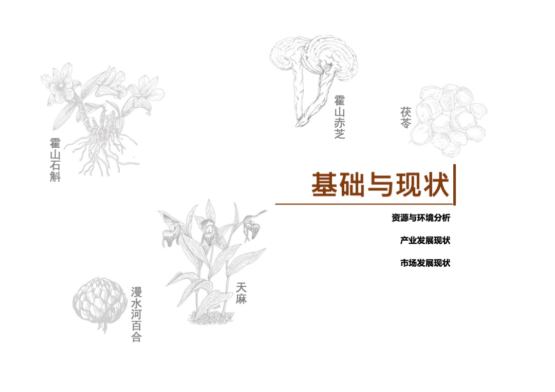 安徽霍山中医药健康旅游专项规划