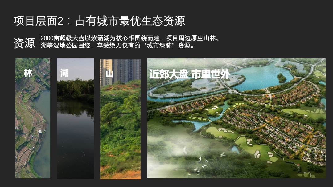 紫涵湖温泉度假小镇整合推广策略提报