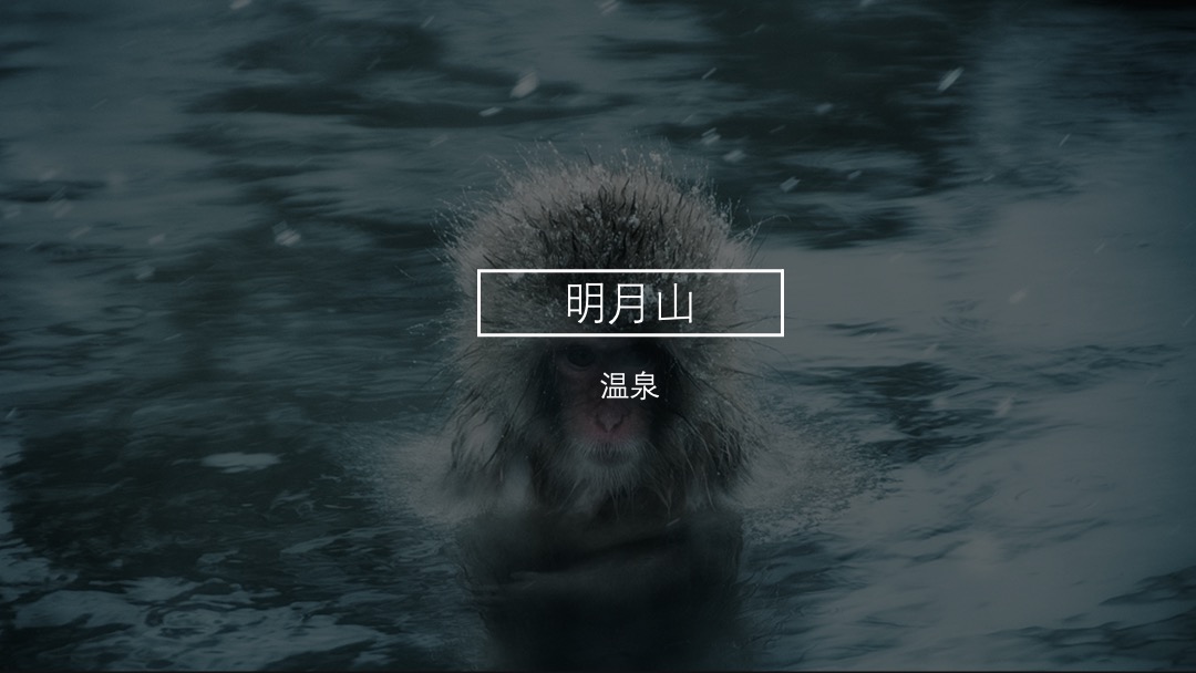 紫涵湖温泉度假小镇整合推广策略提报