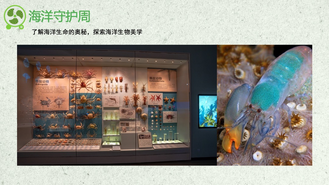 地产项目暑期月度暖场（暑期嘉年华 盛夏嗨FUN主题）活动策划方案