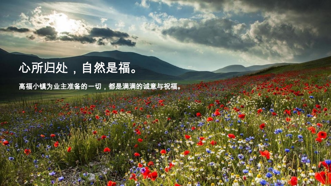 绿城海南高福小镇三期广告推广提案