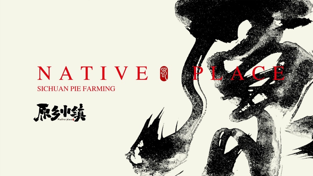 绿城小镇提报方案