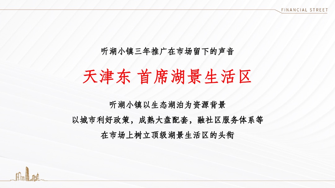 天津金融街·听湖小镇推广策略方案