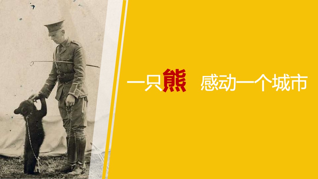 “寻找维”尼艺文大展主题展活动策划方案