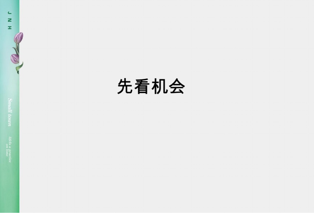 青岛半岛假日小镇产业生态园整合传播案