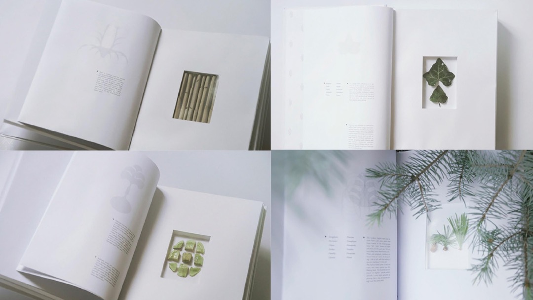 万科花海项目长线运营推广策略案-红鹤集团