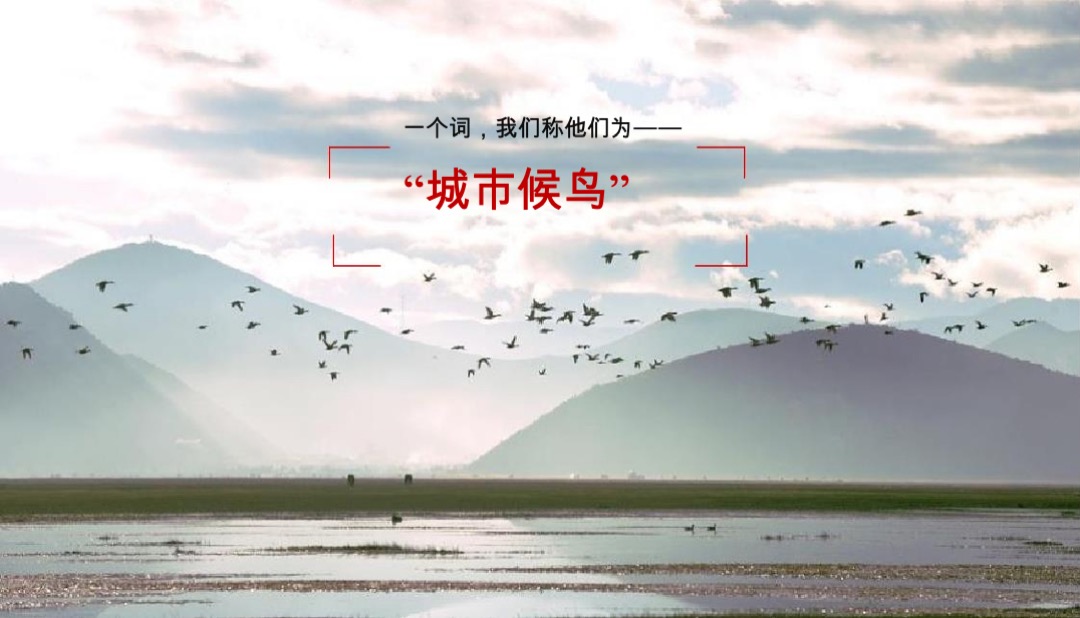 徐州宏图白塔湖小镇策略方案