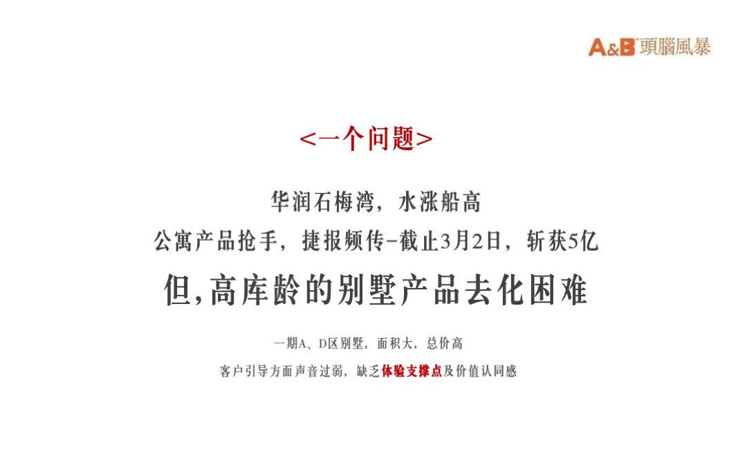 华润石梅湾度假文旅年度推广方案