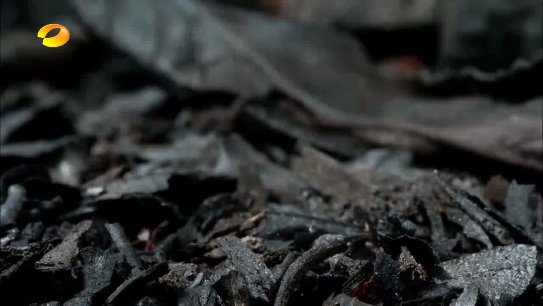 鸿坤原乡小镇形象定位与推广方案最终