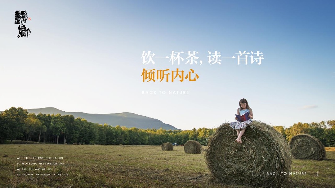 鸿坤原乡小镇形象定位与推广方案最终