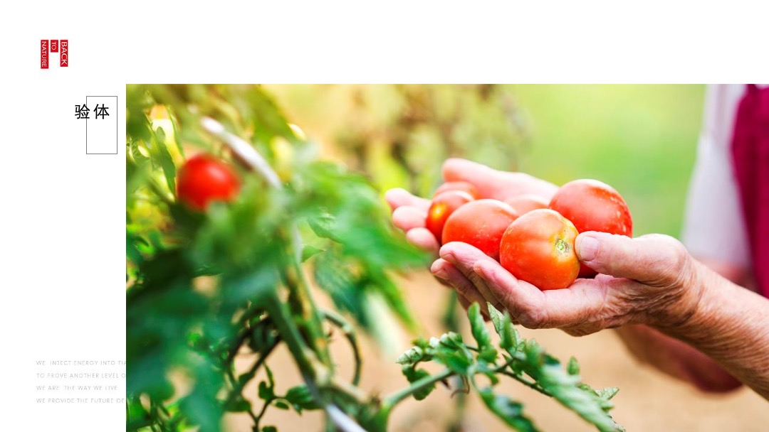 鸿坤原乡小镇形象定位与推广方案最终