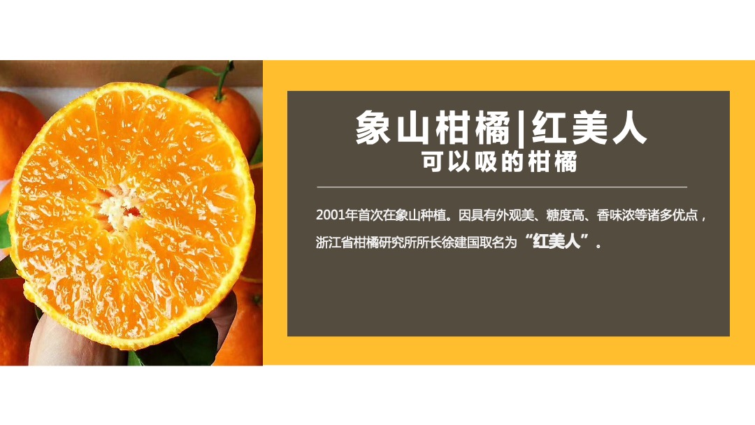 象山柑橘红美人营销活动策划方案