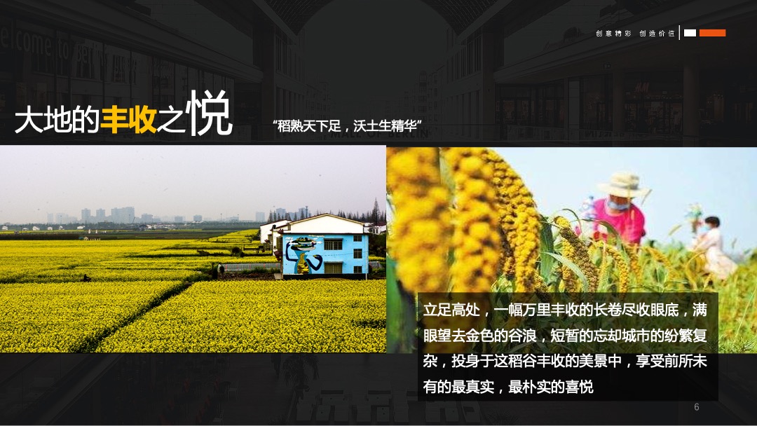 龙山大地丰收节秋季暖场活动策划方案