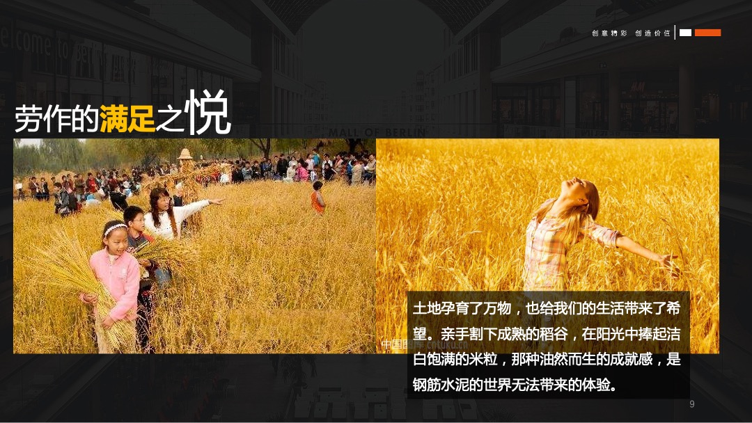 龙山大地丰收节秋季暖场活动策划方案