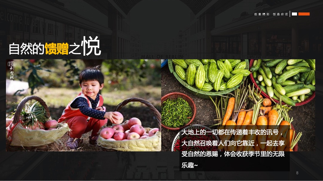 龙山大地丰收节秋季暖场活动策划方案