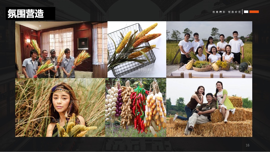 龙山大地丰收节秋季暖场活动策划方案