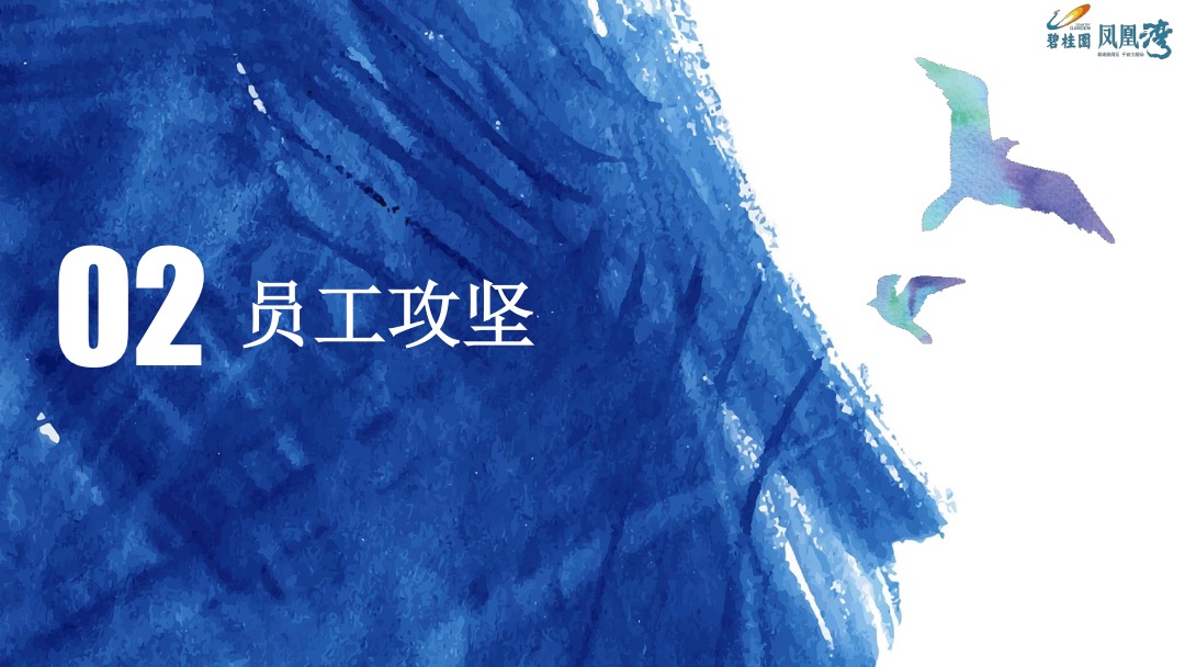 碧桂园·凤凰湾案例：逆市迎全民冲刺66亿营销案例