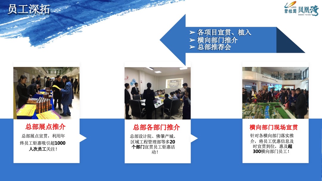 碧桂园·凤凰湾案例：逆市迎全民冲刺66亿营销案例