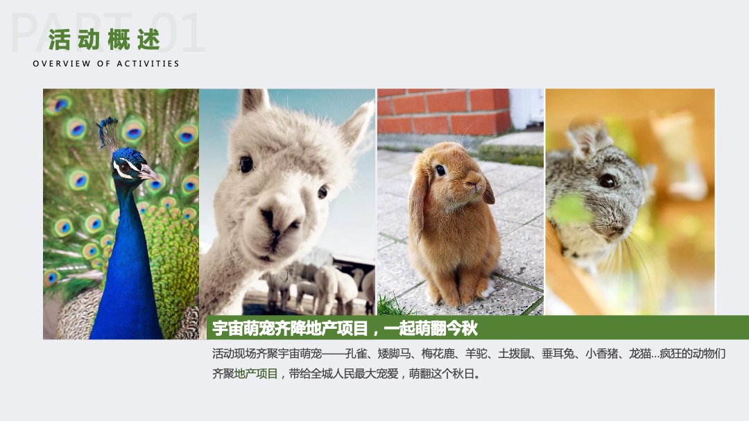 地产项目十一国庆萌宠嘉年华（萌宠森林派对主题）活动策划方案