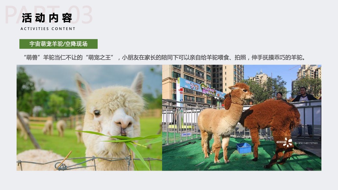 地产项目十一国庆萌宠嘉年华（萌宠森林派对主题）活动策划方案