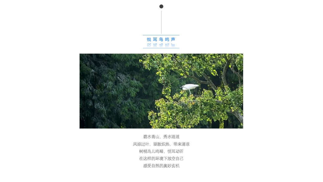 地产项目临时营销中心开放（乐生活·悦美好主题）活动策划方案