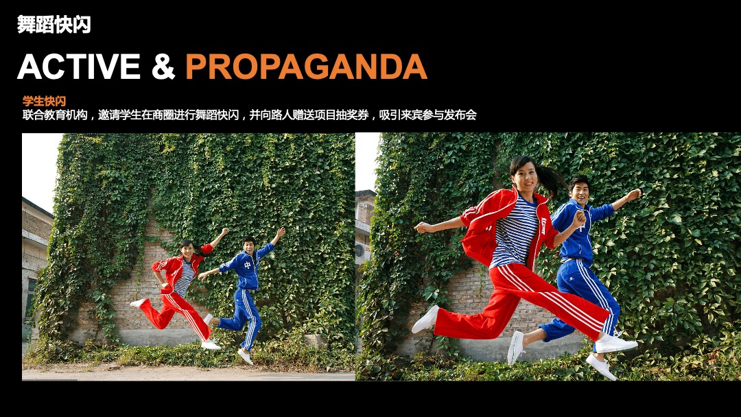 地产项目品牌发布会（一府将至 荣耀而来主题）活动策划方案