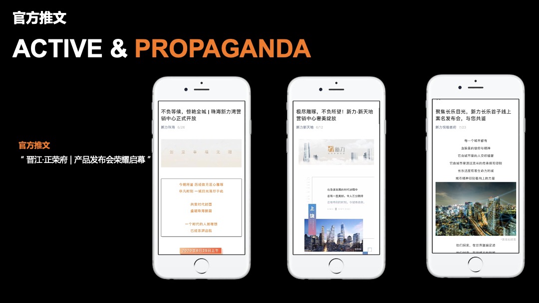 地产项目品牌发布会（一府将至 荣耀而来主题）活动策划方案