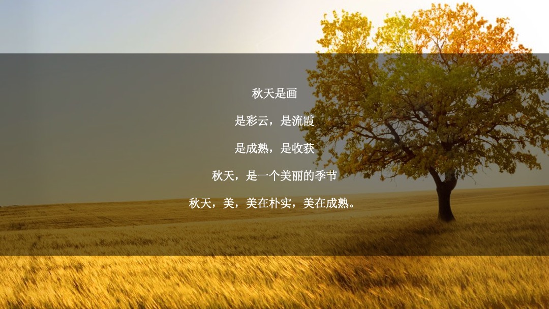 地产项目金秋10月-12月（金秋派对主题）系列活动策划方案