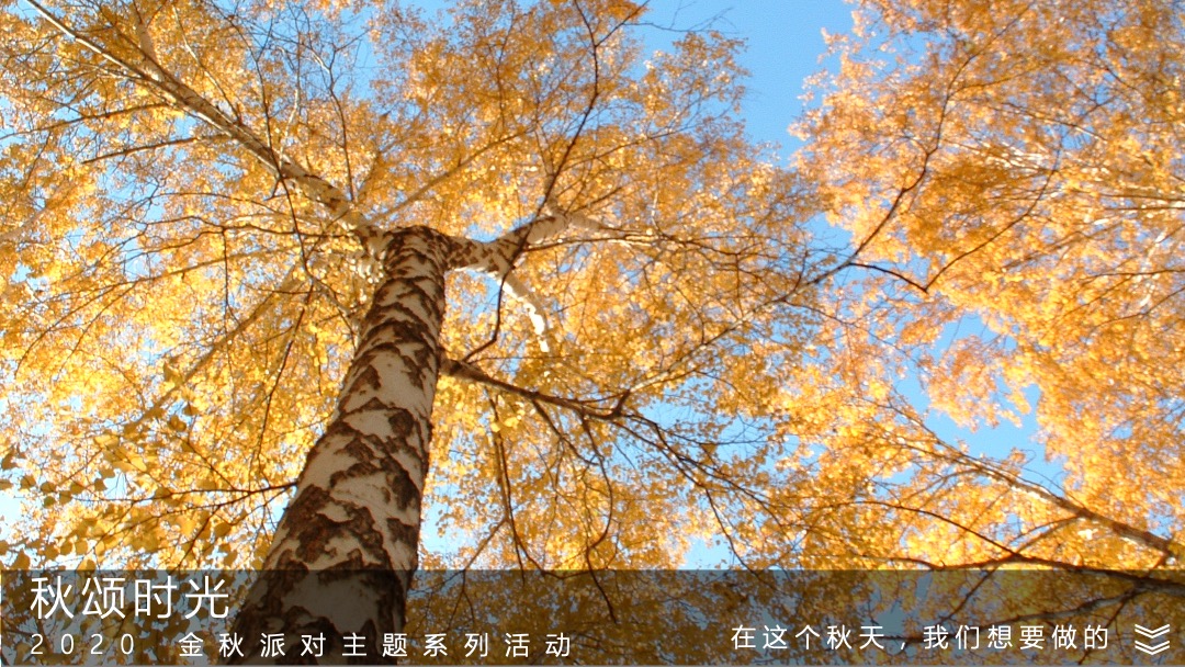 地产项目金秋10月-12月（金秋派对主题）系列活动策划方案