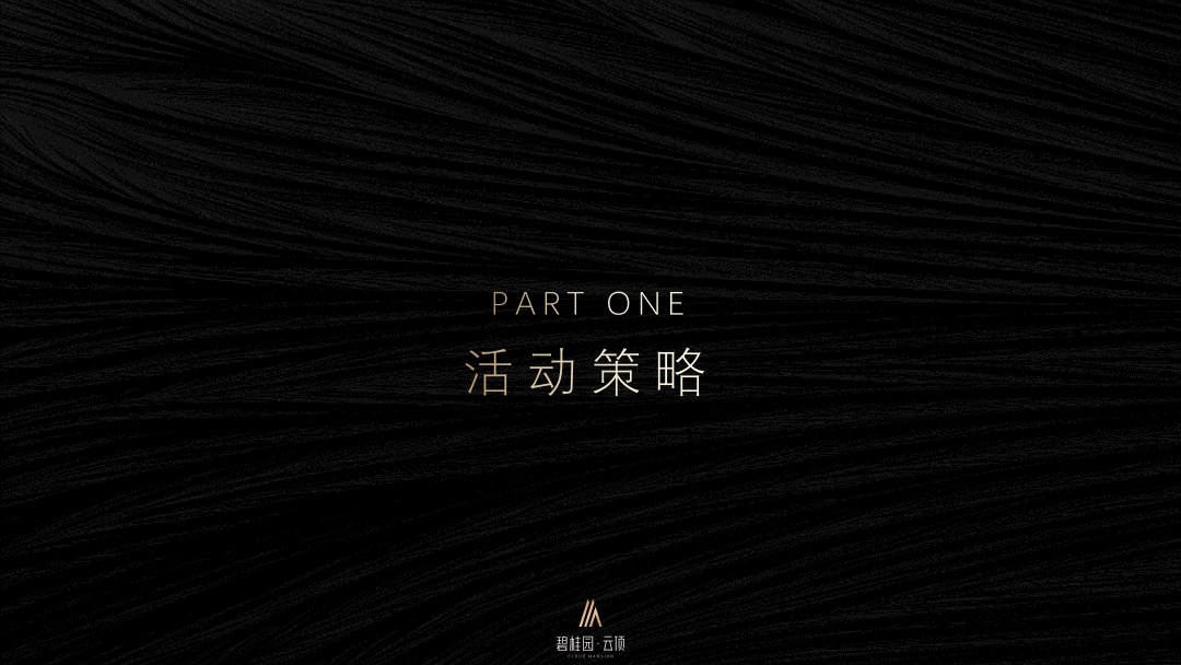 地产品牌云顶首场TED式地产发布会（云启更新太原主题）活动策划方案