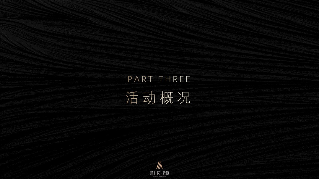 地产品牌云顶首场TED式地产发布会（云启更新太原主题）活动策划方案