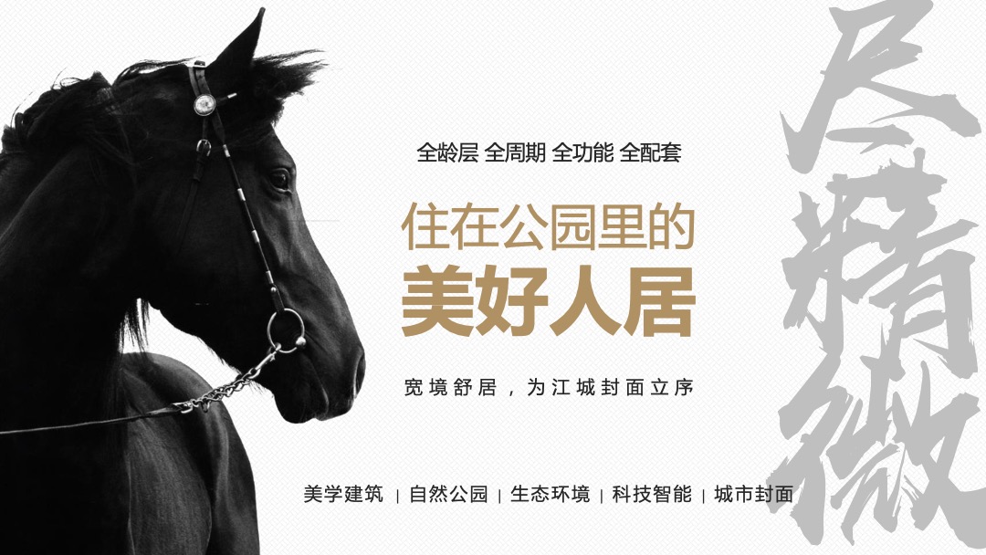 地产项目品牌发布暨产品说明会（新公园 新公元主题）活动策划方案