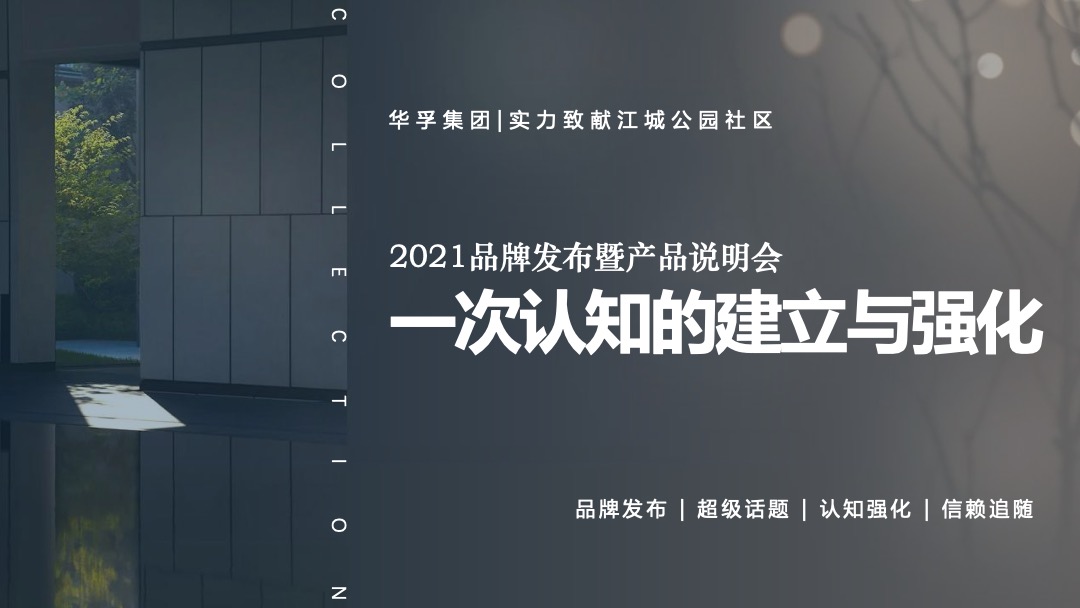 地产项目品牌发布暨产品说明会（新公园 新公元主题）活动策划方案