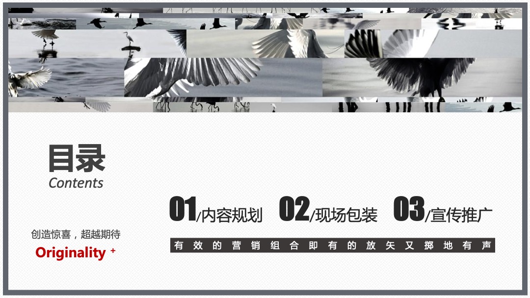 地产项目品牌发布暨产品说明会（新公园 新公元主题）活动策划方案