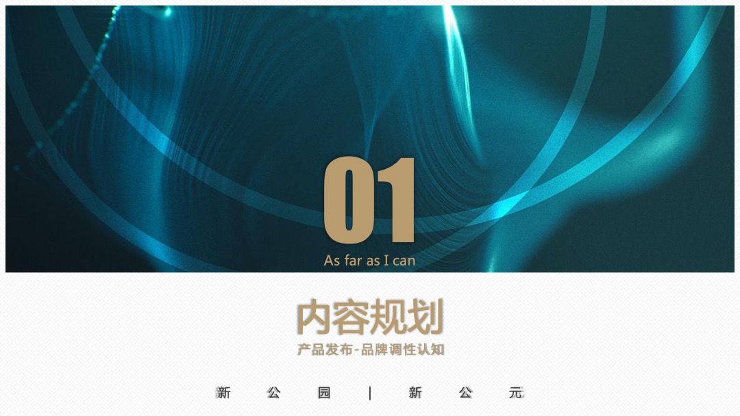 地产项目品牌发布暨产品说明会（新公园 新公元主题）活动策划方案