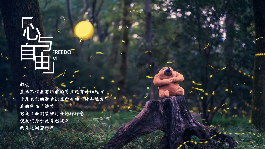 稻田音乐节活动策划方案