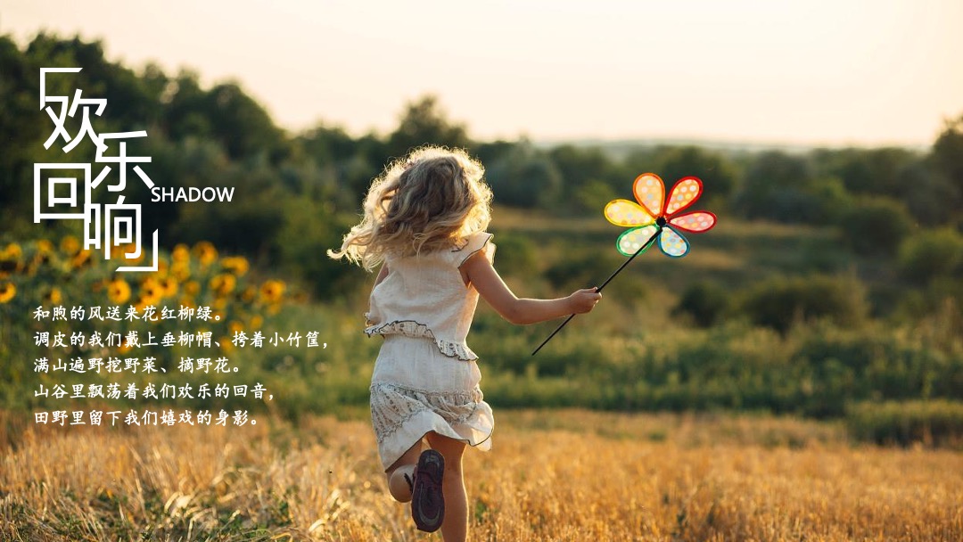 稻田音乐节活动策划方案