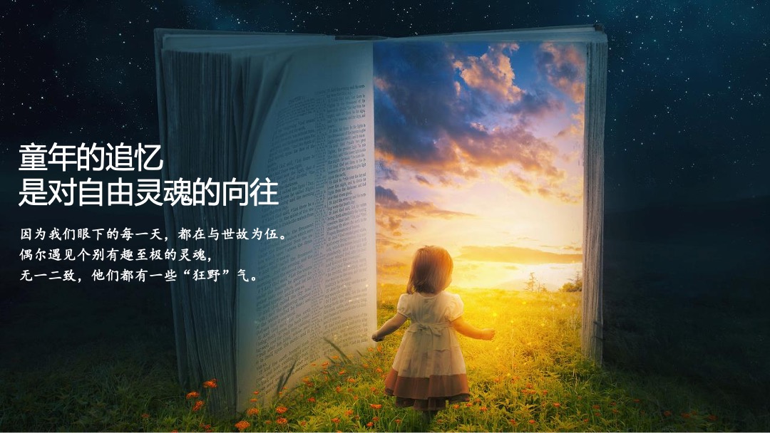 稻田音乐节活动策划方案