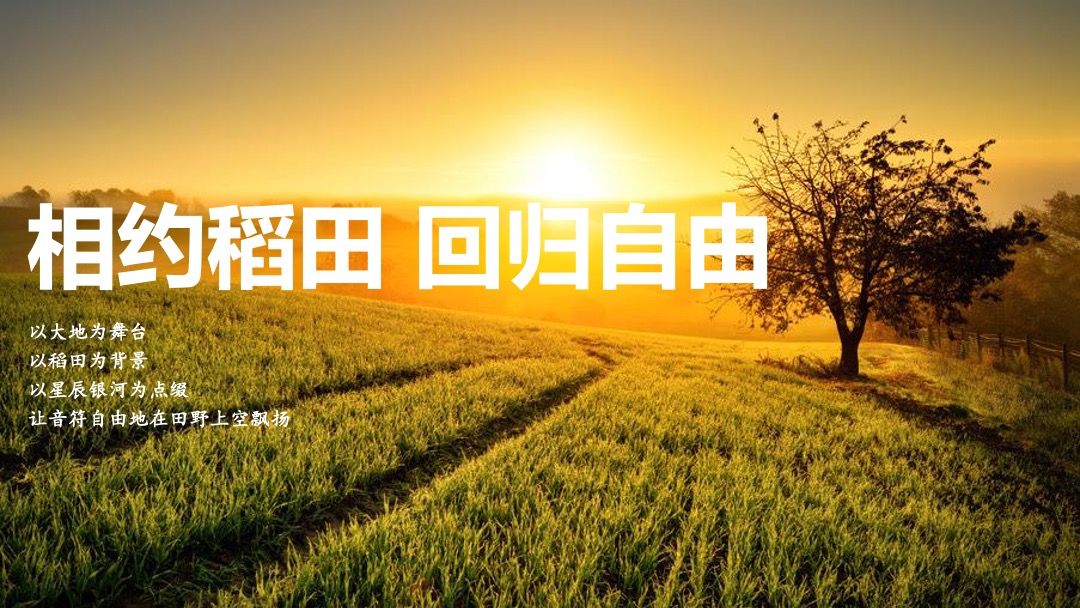 稻田音乐节活动策划方案