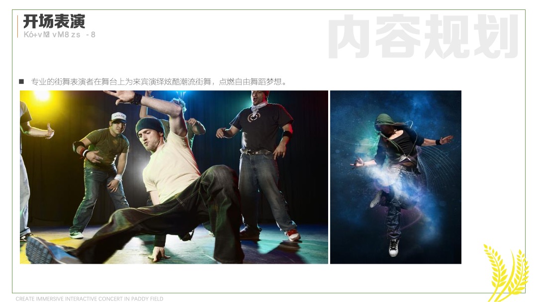 稻田音乐节活动策划方案