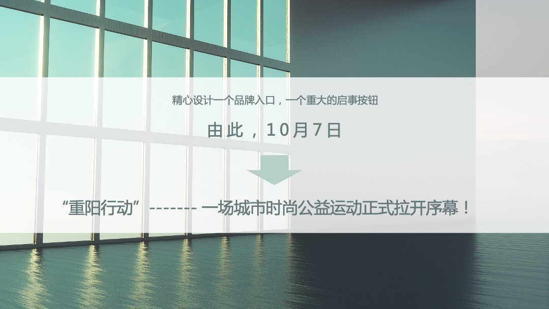 重阳释飞公益活动整合营销策划案