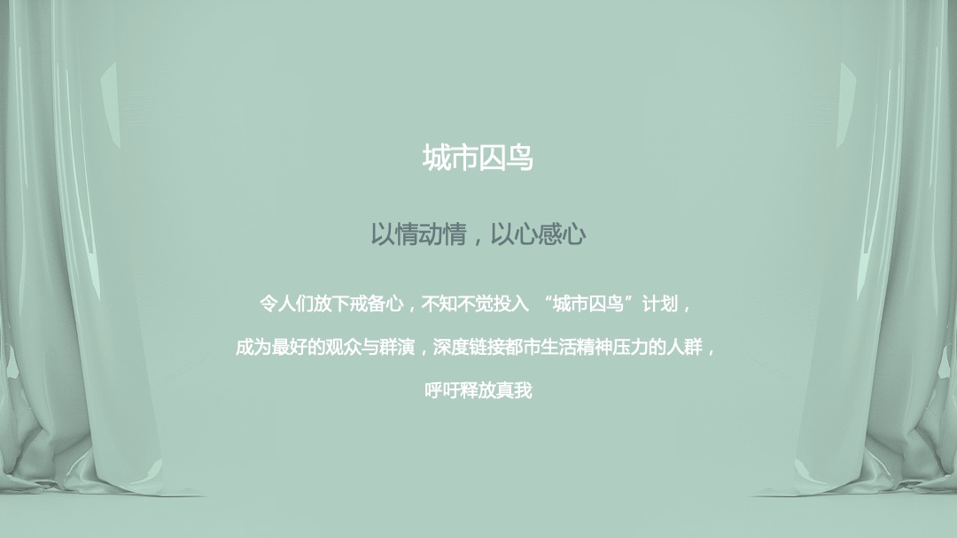 重阳释飞公益活动整合营销策划案