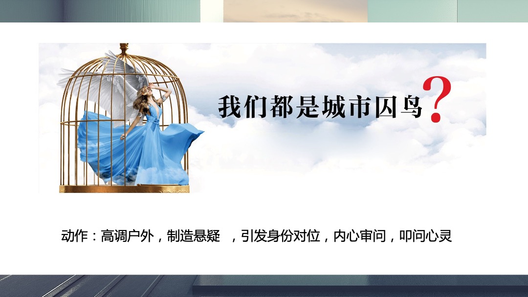 重阳释飞公益活动整合营销策划案