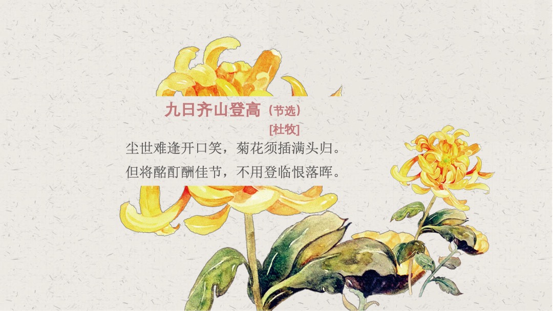 “情暖重阳 静赏秋芳”妇联中老年人重阳节系列舒缓活动策划方案