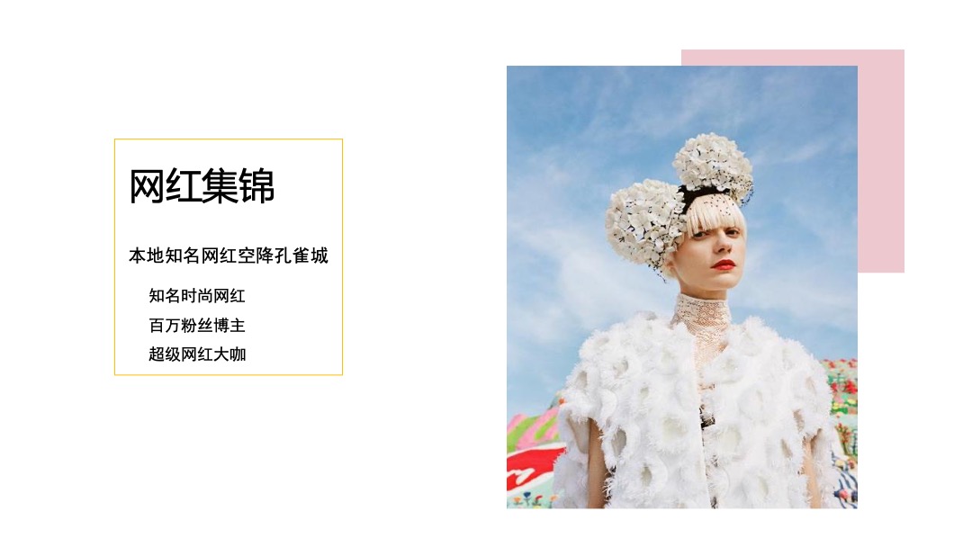 地产项目造“燥”网红生活节活动策划方案