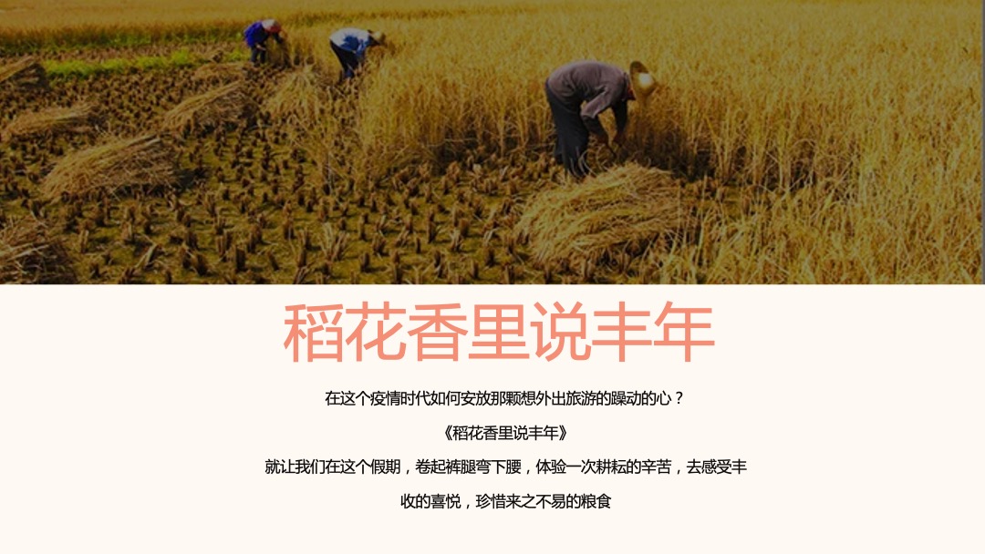 10月月度暖场（秋日物语主题）丰收农耕文化节活动策划方案