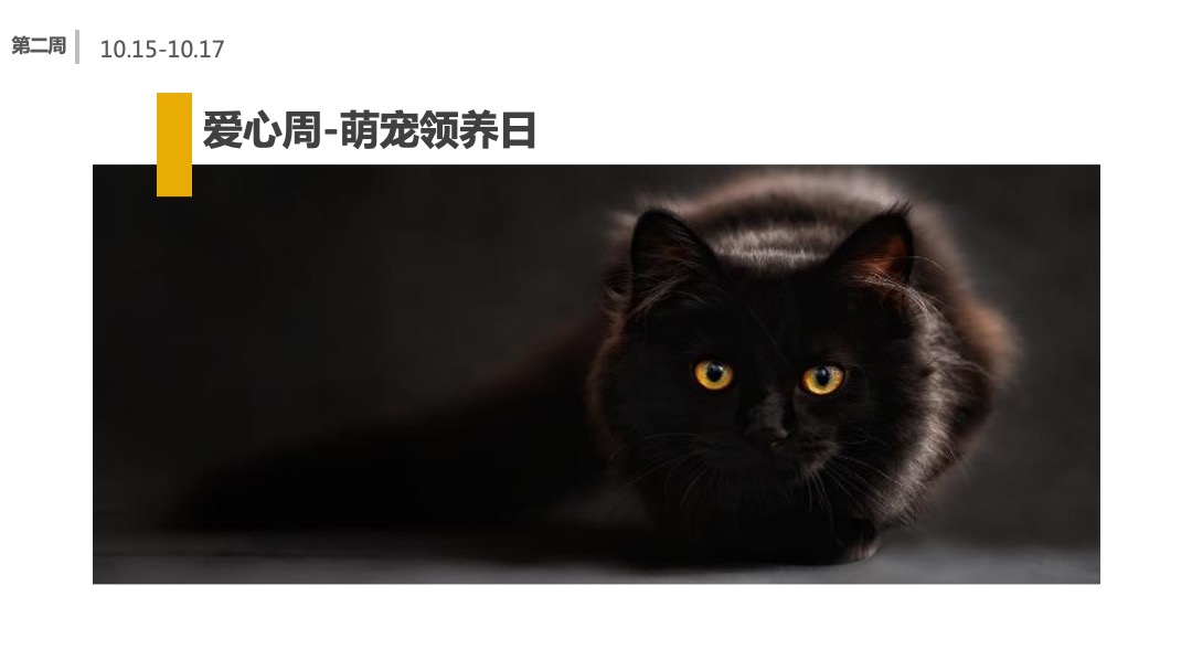 商业广场10月国庆月主题活动策划方案